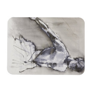 Swan Lake 2001 Magnet