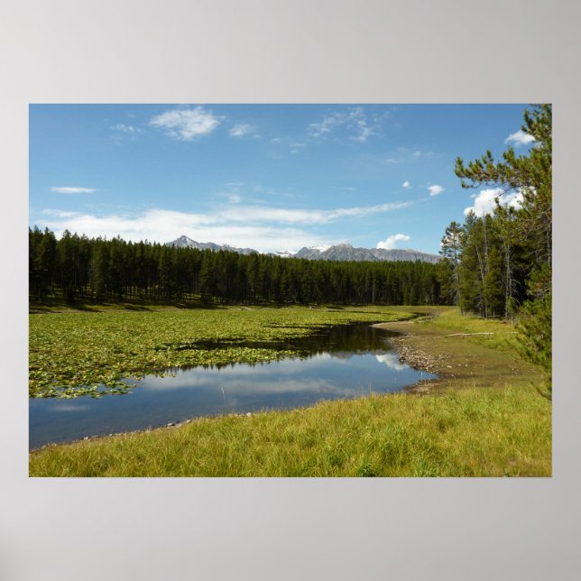 Swan Lake I at Grand Teton National Park Poster (Vorne)