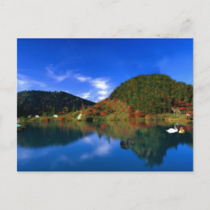 Swan Lake Mountains Postkarte