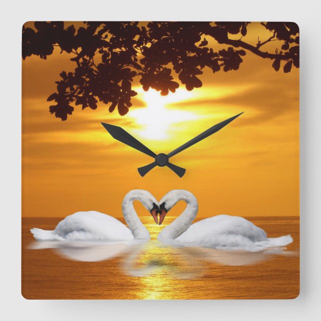 Swan-Liebe Quadratische Wanduhr (Vorderseite)