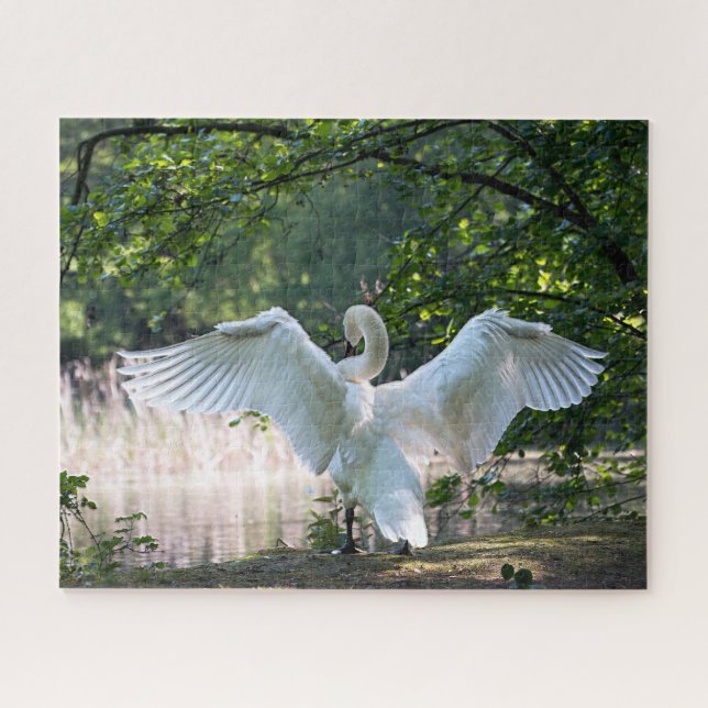 Swan mit Wings Spread (Horizontal)