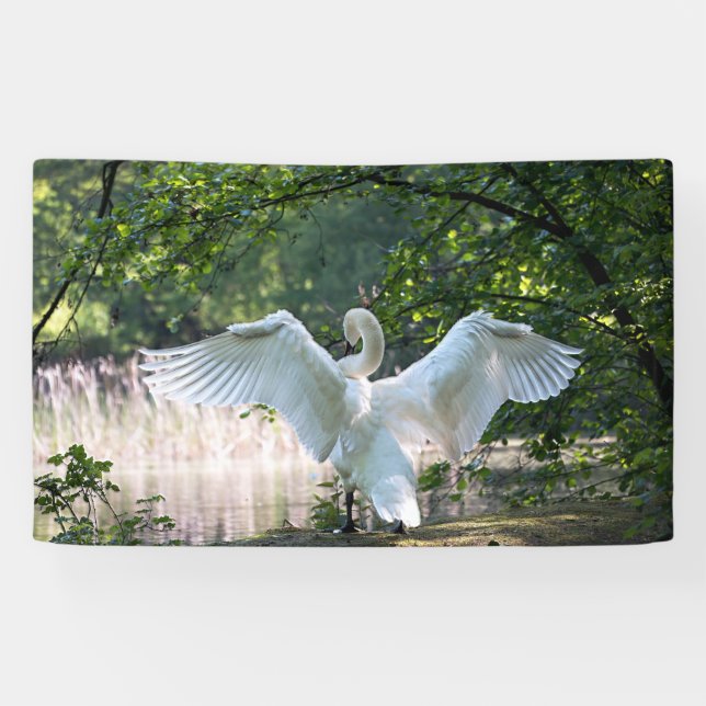 Swan mit Wings Spread Banner (Horizontal)