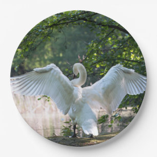 Swan mit Wings Spread Pappteller