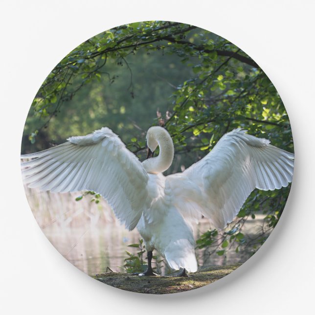 Swan mit Wings Spread Pappteller (Vorderseite)