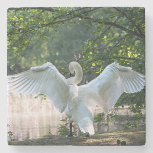 Swan mit Wings Spread Steinuntersetzer