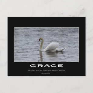 Swan Motivierend Gifts Postkarte