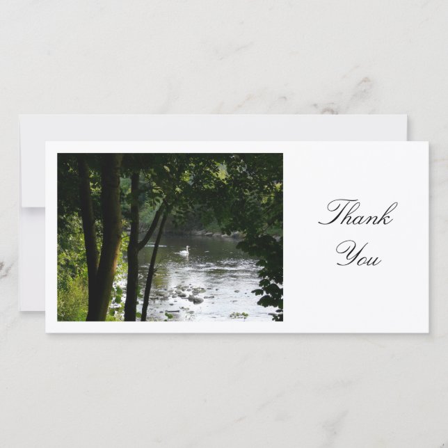 Swan on a River - Danke (Vorderseite)