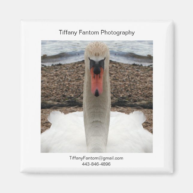 Swan Promo Piece Magnet (Vorne)