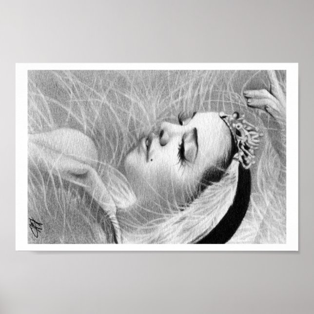 Swan Queen Ballerina Poster (Vorne)