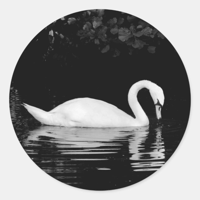 Swan, Roath Park, Cardiff. Runder Aufkleber (Vorderseite)