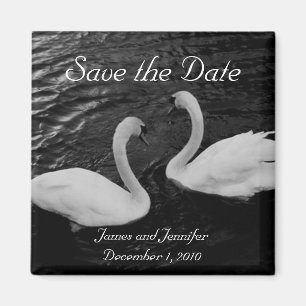 Swan Save the Date Magnet