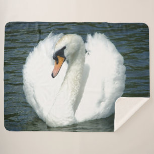 SWAN SHERPADECKE