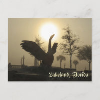 Swan Silhouette Lakeland Florida