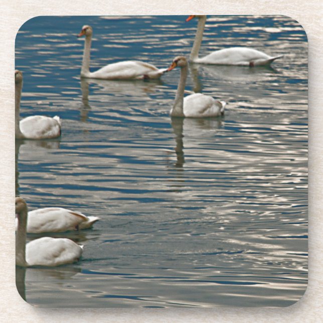 Swan Song Untersetzer (Vorderseite)