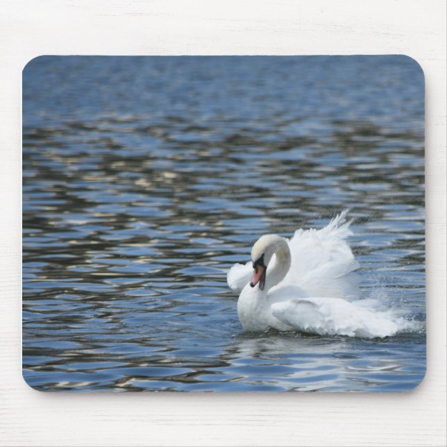 Swan Splashing im Wasser Mousepad (Vorne)