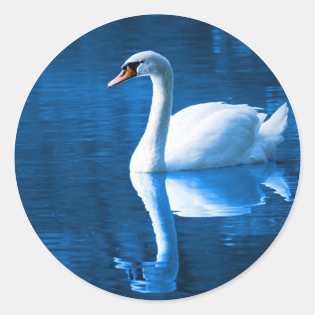Swan Sticker (Vorderseite)