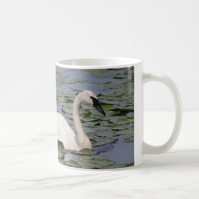 Swan-Tasse Kaffeetasse (Rechts)