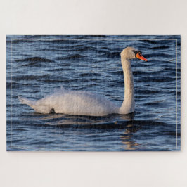 Swan und Blaues Wasser