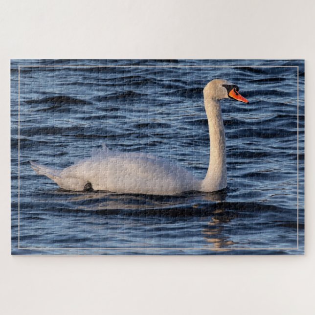 Swan und Blaues Wasser (Horizontal)
