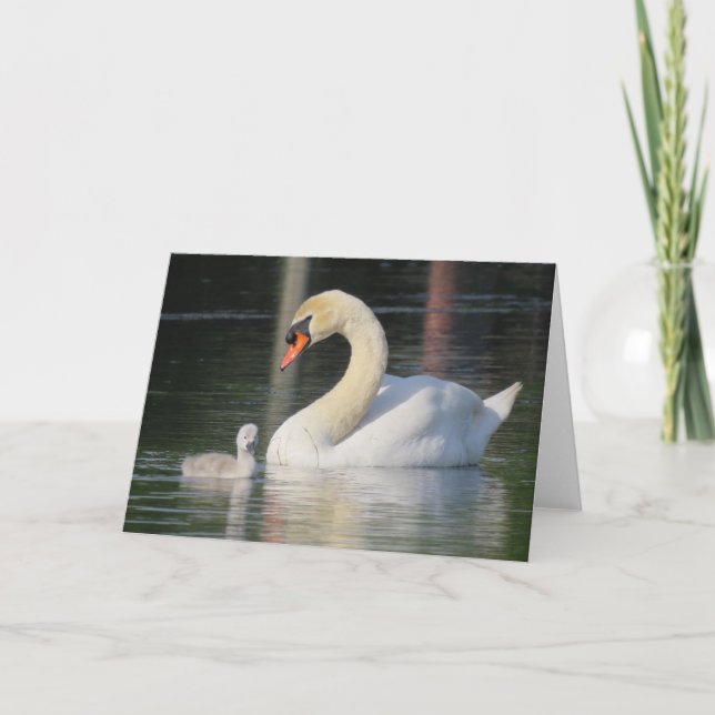 Swan- und Cygnet-Grußkarte Karte (Vorderseite)