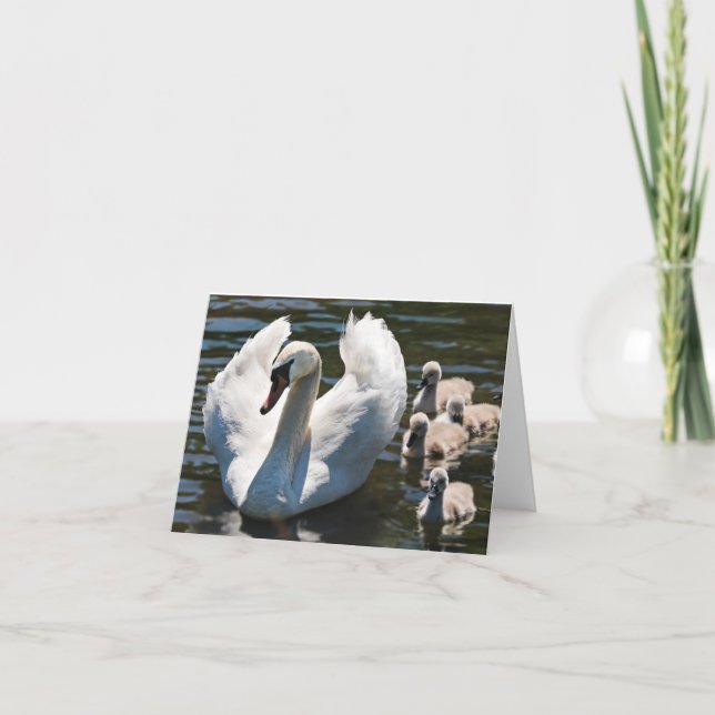 Swan und Cygnets Karte (Vorderseite)
