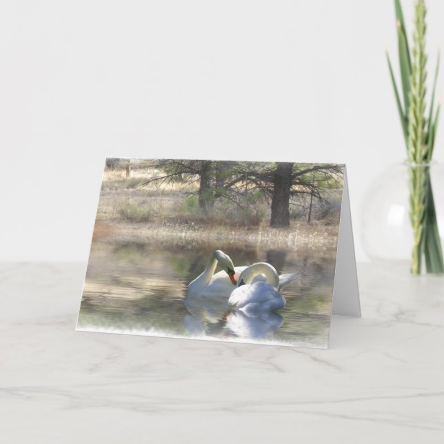 Swan Wedding Glückwunschkarte Karte (Vorderseite)