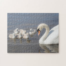 Swan & Young Cygnets