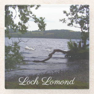 Swans auf Loch Lomond Glasuntersetzer