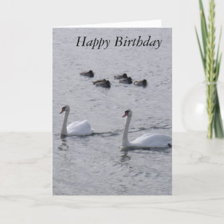 Swans Birthday Card Karte