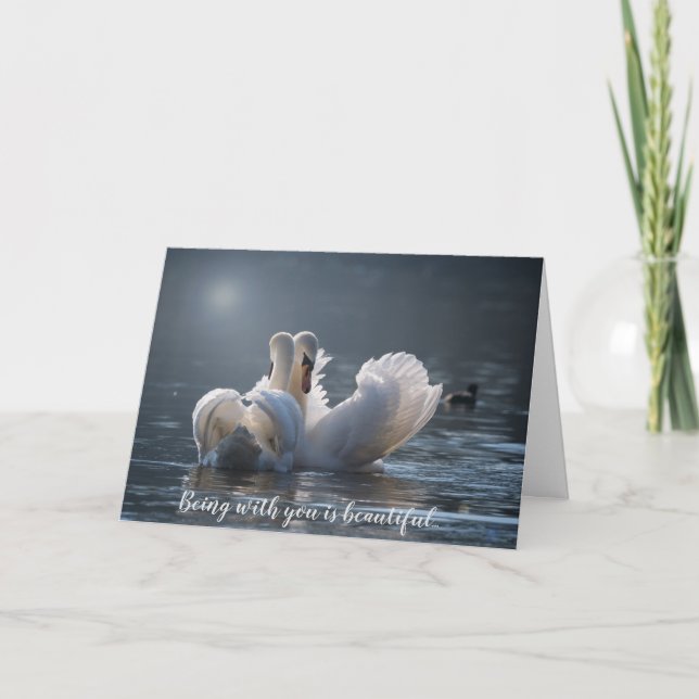 Swans Grußkarte Karte (Vorderseite)