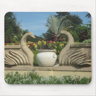 Swans Guarding Hollis Gardens Mousepad