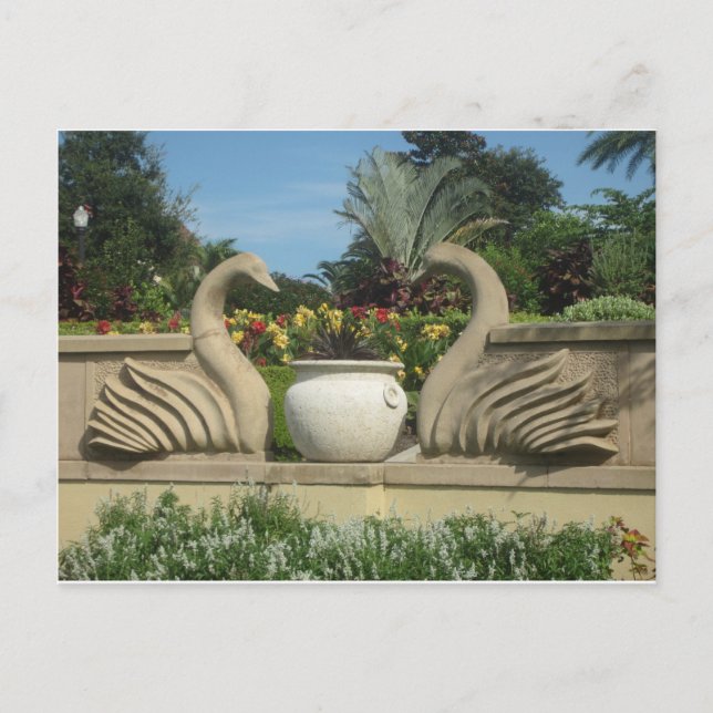 Swans Guarding Hollis Gardens Postkarte (Vorderseite)