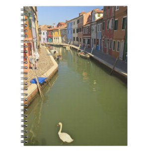 Swans in canal, Burano Island, Venice, Italy Notizblock
