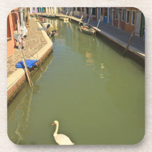 Swans in Canale, Burano Island, Venedig, Italien Getränkeuntersetzer