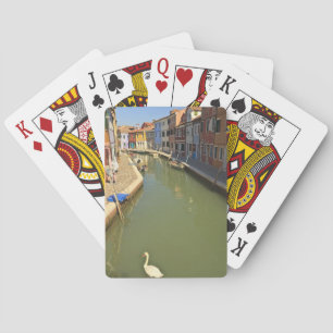 Swans in Canale, Burano Island, Venedig, Italien Spielkarten
