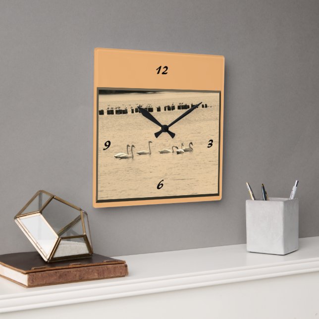 Swans in Seagulls Wall Clock Quadratische Wanduhr (Büro)