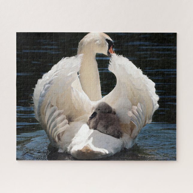 Swans Jigsaw Puzzle (Horizontal)