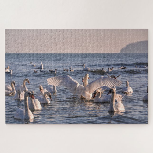 Swans Jigsaw Puzzle (Horizontal)