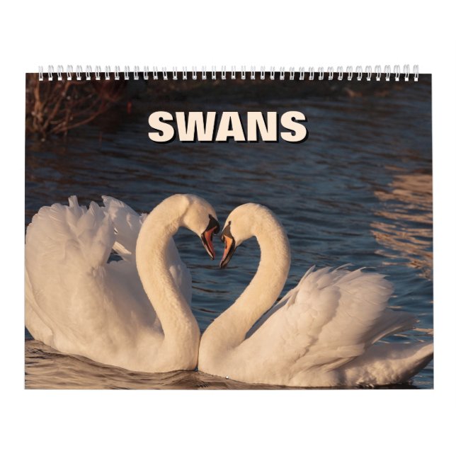 Swans-Kalender Kalender (Titelbild)