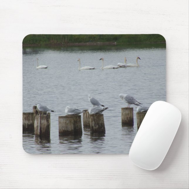 Swans n Seagulls Mouse Pad Mousepad (Mit Mouse)