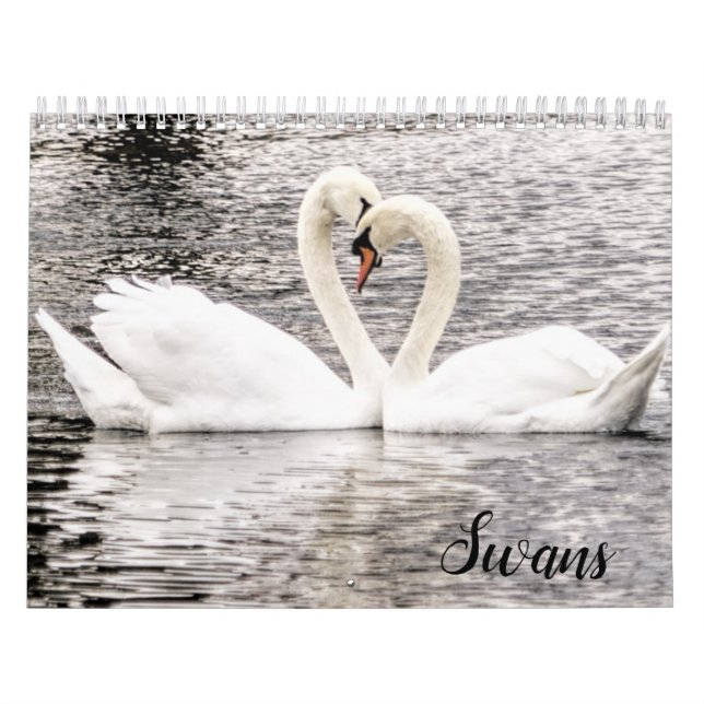 Swans of Spring Grove  Kalender (Titelbild)