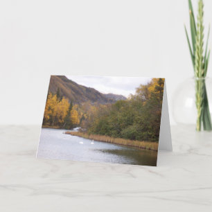 Swans on Lake in Alaska Greeting Card Dankeskarte