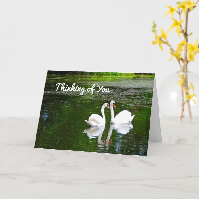 Swans Thinking of You Karte (Gelbe Blume)