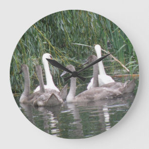 SWans und Cygnets Clock Große Wanduhr