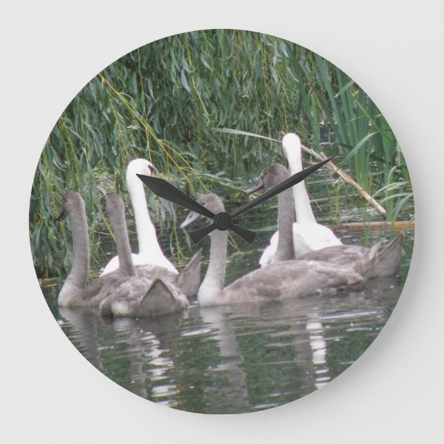 SWans und Cygnets Clock Große Wanduhr (Vorderseite)