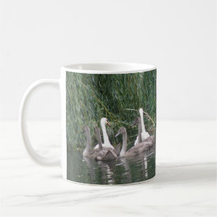 Swans und Cygnets-Tasse Kaffeetasse