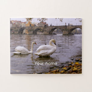 Swans und Karlsbrücke in Prag