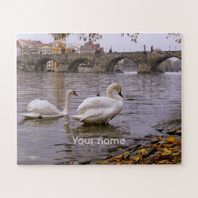Swans und Karlsbrücke in Prag (Horizontal)