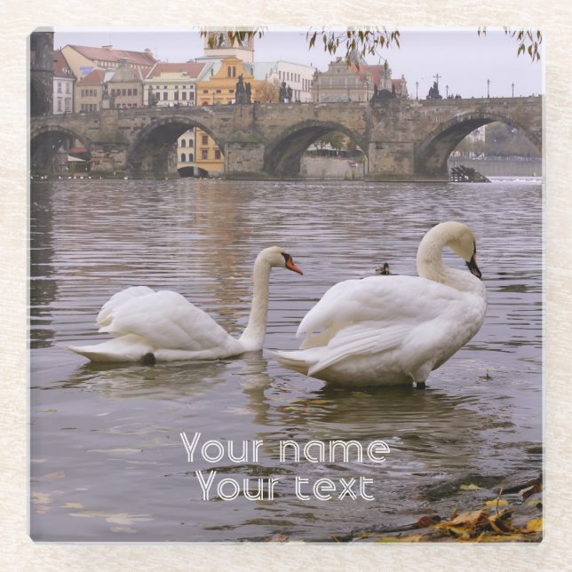 Swans und Karlsbrücke in Prag Glasuntersetzer (Vorderseite)
