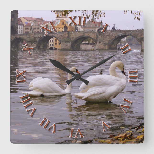 Swans und Karlsbrücke in Prag Quadratische Wanduhr (Vorderseite)